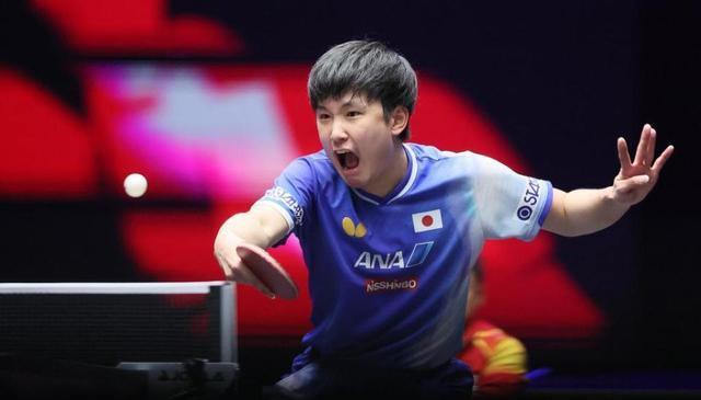 林诗栋却爆 林诗栋却爆