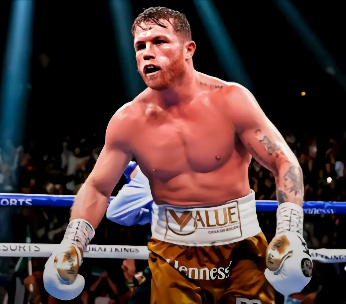 综合格斗赛, 亿美元 综合格斗赛, 亿美元